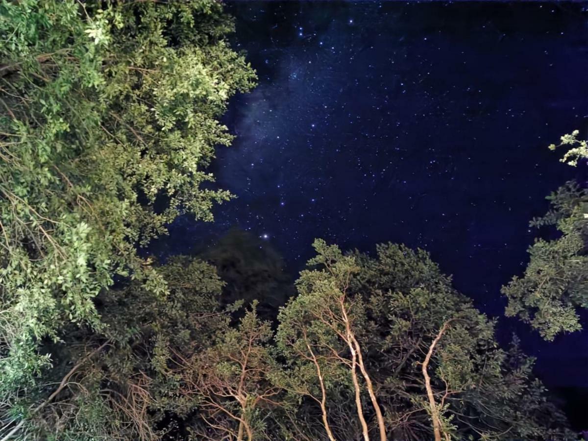 Domos Hijos Del Bosque Daire Coñaripe Dış mekan fotoğraf